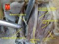 Trochlear and frontal nerves