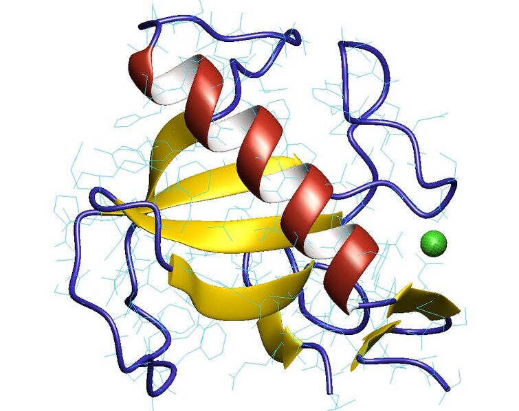 File:9rnt.jpg