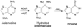 Thumbnail for version as of 02:12, 7 June 2026