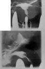 Thumbnail for version as of 13:41, 8 June 2026