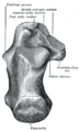 Thumbnail for version as of 17:28, 18 May 2026