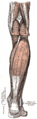 Thumbnail for version as of 17:28, 18 May 2026