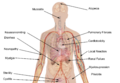 Thumbnail for version as of 22:32, 8 June 2026