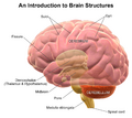 Thumbnail for version as of 12:51, 29 May 2026