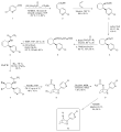 Corey synthesis of Epibatidine
