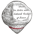 Thumbnail for version as of 17:28, 18 May 2026