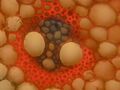 Thumbnail for version as of 22:25, 8 June 2026