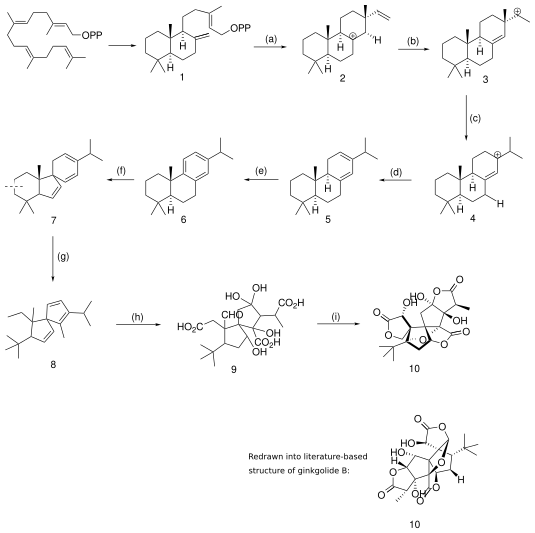 File:ACSformantbiosynthesisofginkgolideb.svg