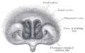 Thumbnail for version as of 17:28, 18 May 2026