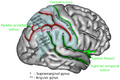 Thumbnail for version as of 03:29, 5 June 2026
