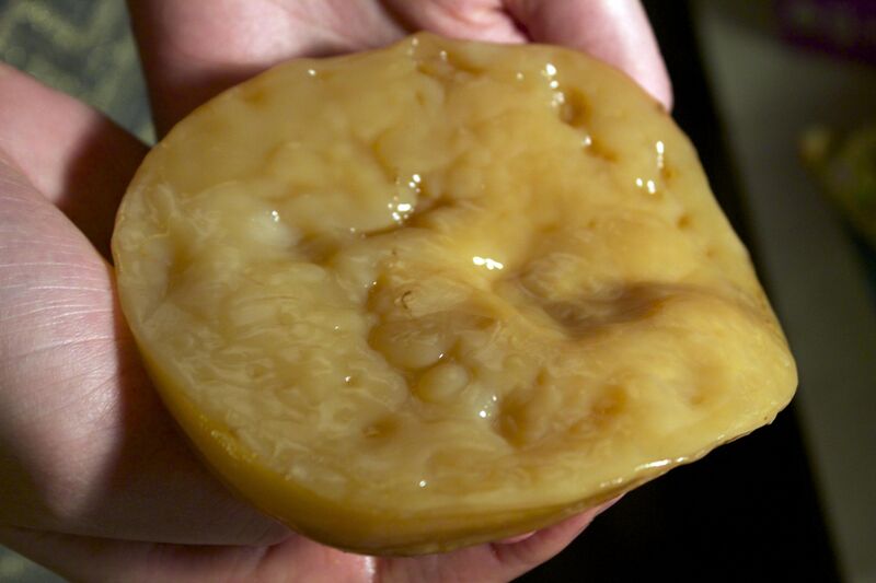 File:SCOBY mushroom.jpg