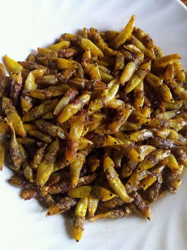 File:Ugandan grasshopper dish.jpg