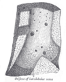 Thumbnail for version as of 17:28, 18 May 2026