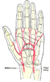 Thumbnail for version as of 17:28, 18 May 2026