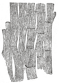 Thumbnail for version as of 17:28, 18 May 2026
