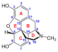 Thumbnail for version as of 14:55, 19 May 2026