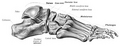 Thumbnail for version as of 03:34, 5 June 2026