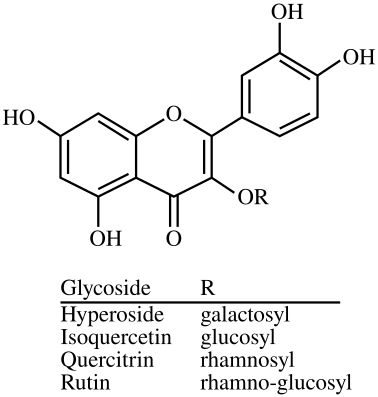 File:3-O-Glycosides of quercetin-en.svg