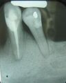 Thumbnail for version as of 12:51, 29 May 2026