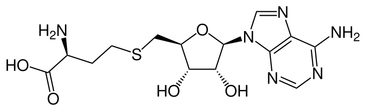 File:S-Adenosyl-L-homocystein.svg