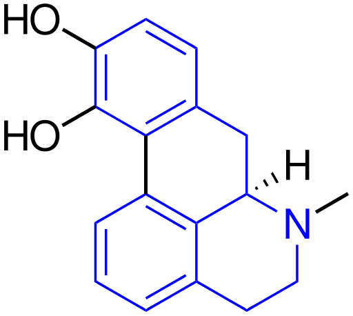 File:Benzylisoquinoline structure in Apomorphone.svg