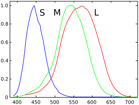 File:Cones SMJ2 E.svg