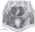 Thumbnail for version as of 17:28, 18 May 2026