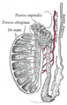 Thumbnail for version as of 17:28, 18 May 2026