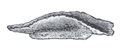 Thumbnail for version as of 17:28, 18 May 2026
