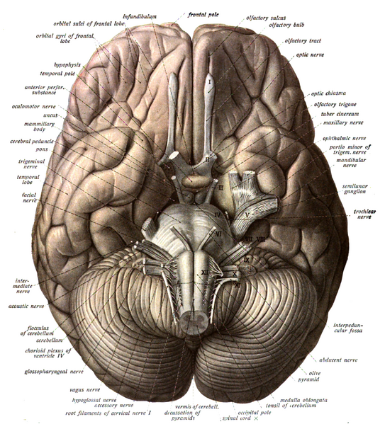 File:Sobo 1909 623.png