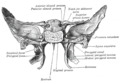 Thumbnail for version as of 17:28, 18 May 2026
