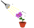 Thumbnail for version as of 03:21, 5 June 2026