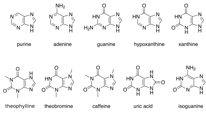File:Purines.svg