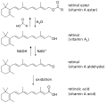 Thumbnail for version as of 22:11, 25 May 2026
