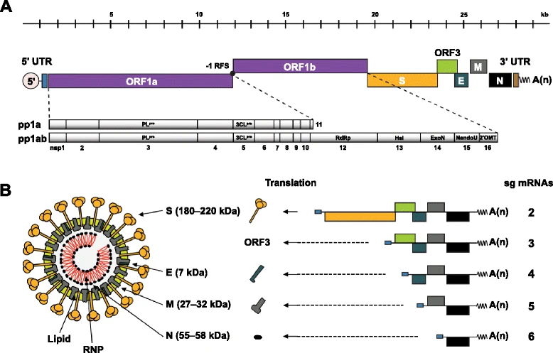 File:12985 2015 421 Fig1 HTML.webp