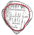Thumbnail for version as of 17:28, 18 May 2026