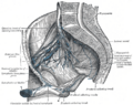 Thumbnail for version as of 17:28, 18 May 2026