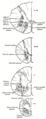 Thumbnail for version as of 17:28, 18 May 2026