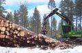Forestry machine in Kaibab National Forest