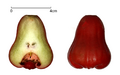 Thumbnail for version as of 03:31, 5 June 2026