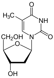 File:2'-Desoxythymidin.svg