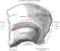 Thumbnail for version as of 17:28, 18 May 2026
