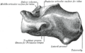 Thumbnail for version as of 17:27, 18 May 2026