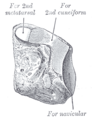 Thumbnail for version as of 17:28, 18 May 2026