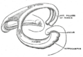 Thumbnail for version as of 17:28, 18 May 2026