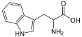 Thumbnail for version as of 22:11, 25 May 2026