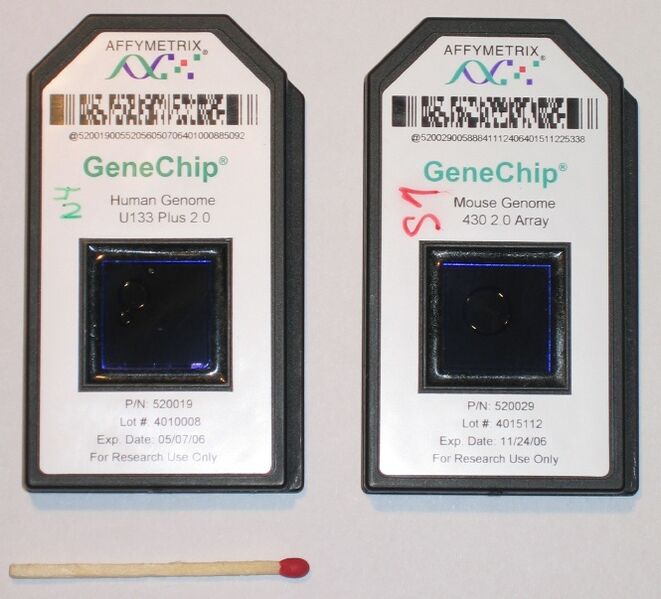 File:Affymetrix-microarray.jpg