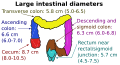 Thumbnail for version as of 22:13, 18 May 2026