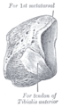 Thumbnail for version as of 17:28, 18 May 2026