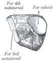 Thumbnail for version as of 17:28, 18 May 2026